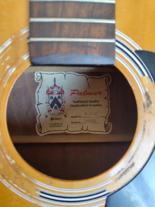Guitarra Acústica Palmer P41N