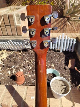 Guitarra Acústica Palmer P41N