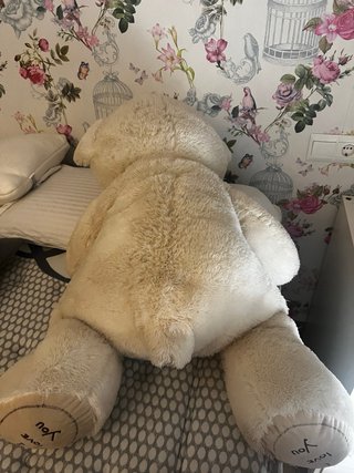 Osito de peluche grande