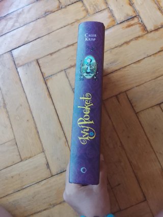 Libro infantil título:  ivy pocket .  Paginas: 380
