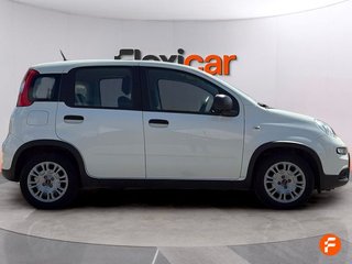 Fiat Panda City Life Hybrid 1.0 Gse 51kw (70CV)