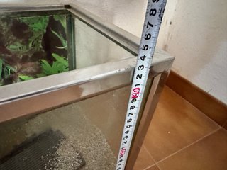 Acuario con decorado de plantas