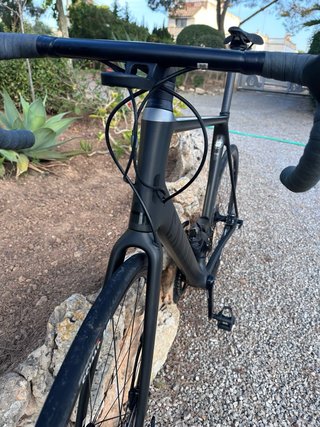 Canyon Ultimate CF SL ‘23 | Ultegra | DT Swiss, XL