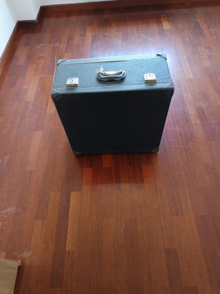 Fisarmonica Parrot 80 bassi