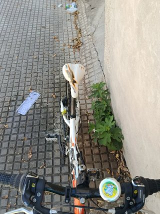 Bicicleta Nakamura montaña