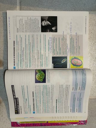 Proyecto: FanFest - Biología, Geología y Cienci...