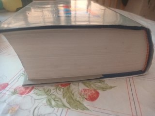 Diccionario espasa bilingues