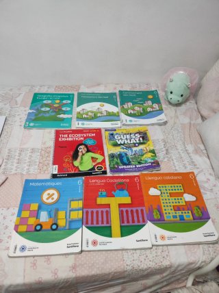 Libros 6 de primaria