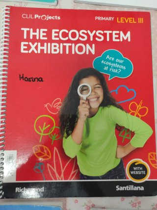 Libros 6 de primaria