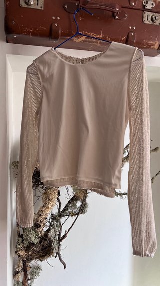Blusa lentejuelas doradas y plateadas