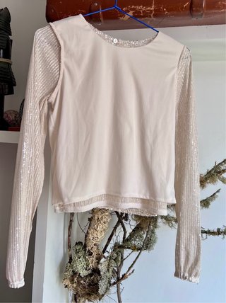 Blusa lentejuelas doradas y plateadas