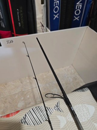 CAÑA DAIWA MORETHAN BRANZINO AGS 90HFS SHORE 274