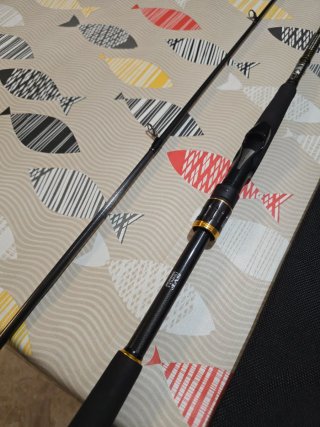 CAÑA DAIWA MORETHAN BRANZINO AGS 90HFS SHORE 274