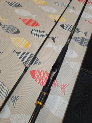 CAÑA DAIWA MORETHAN BRANZINO AGS 90HFS SHORE 274