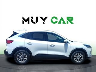 Ford Kuga 1.5 EcoBlue ST-Line Auto 88 kW (120 CV)