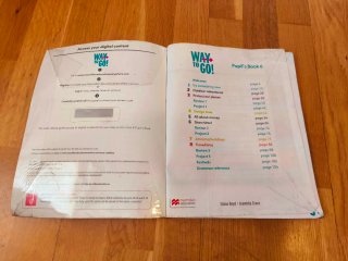 Way to Go! 6 Pupil's Book. Macmillan