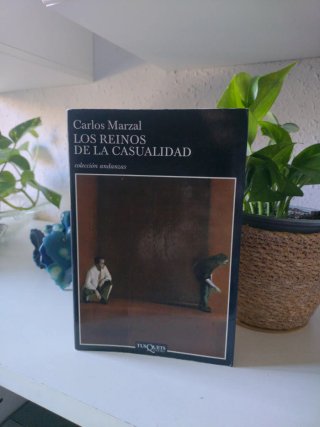 Los reinos de la casualidad
