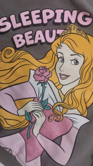 Sudadera Gris Princesa Aurora Disney