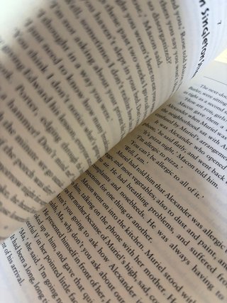 Libro the accidental tourist