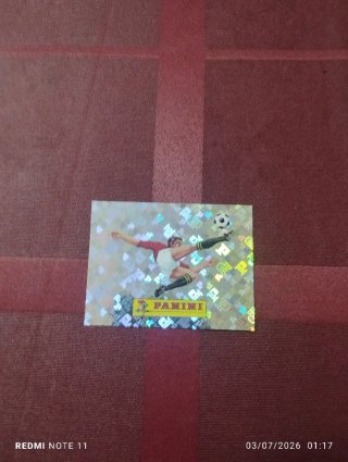 Cromo Panini Fútbol