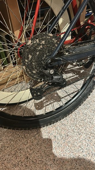 Orbea Alma H30 Talla M