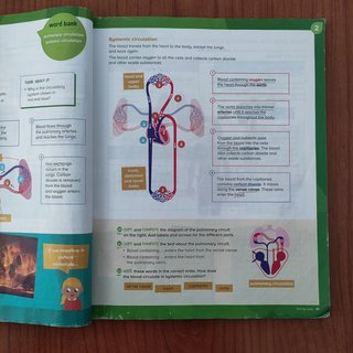 Natural and Social Science, 6 Primary, World Ma...
