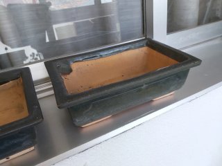 macetas de  bonsai cerámica original