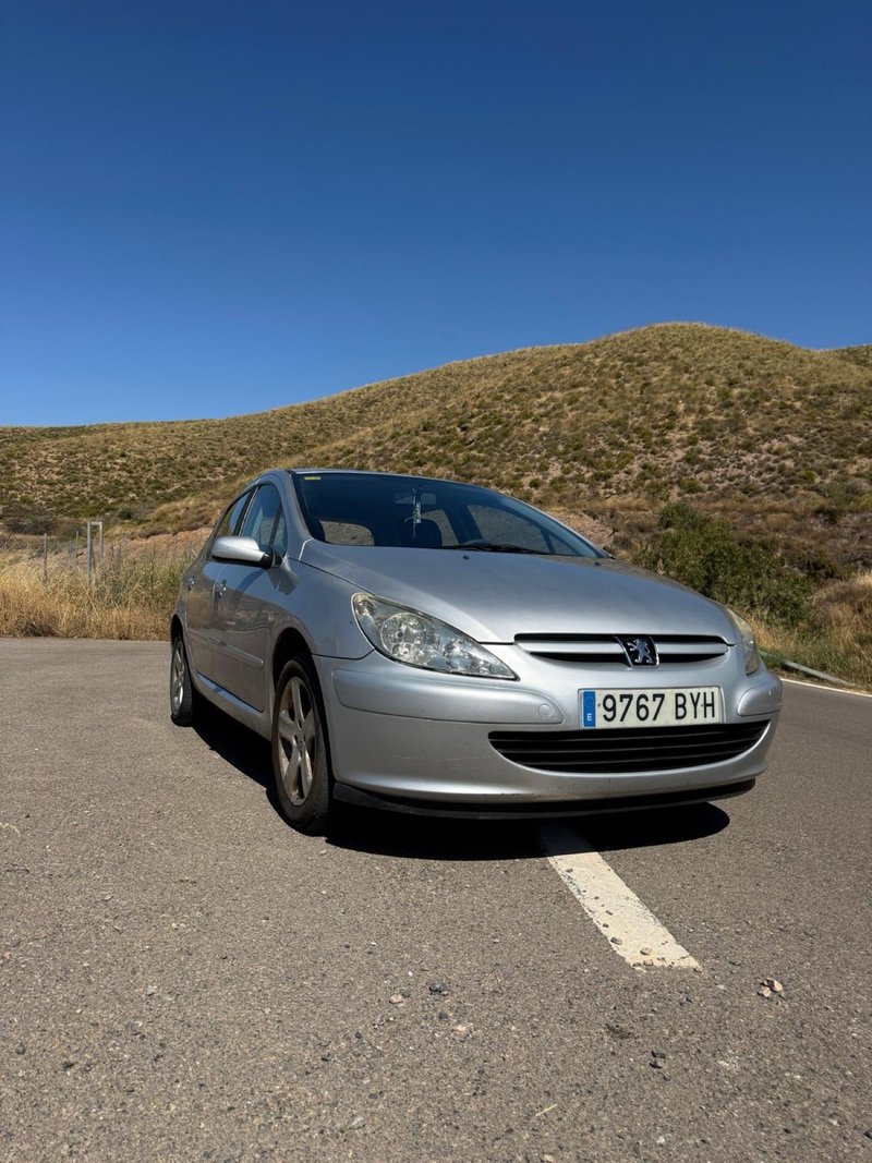 Peugeot 307 2001 - foto 1