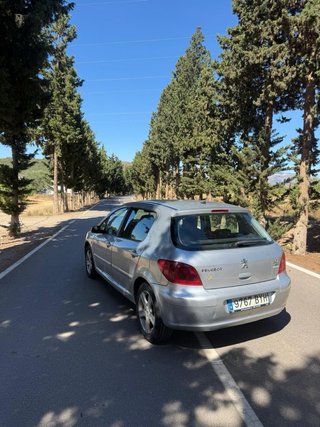 Peugeot 307 2001