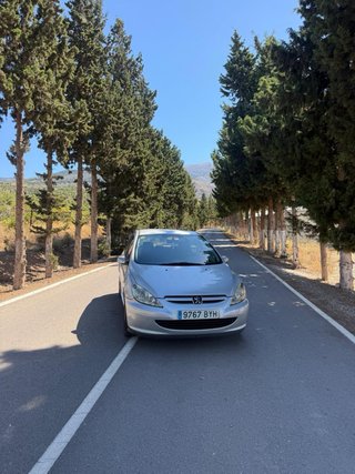 Peugeot 307 2001