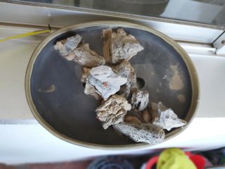 Macetas Bonsai con Rocas Cerámica y Piedra