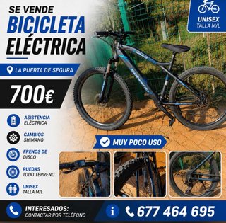 Bicicleta Eléctrica SCHENQ Talla M/L