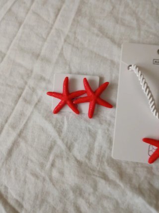 Conjunto Pendientes y Collar Estrella de Mar