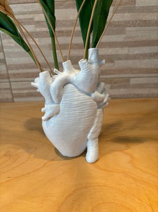 Vaso Cuore Anatomico per fiori