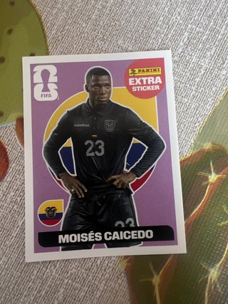 Panini Extra Sticker Moisés Caicedo
