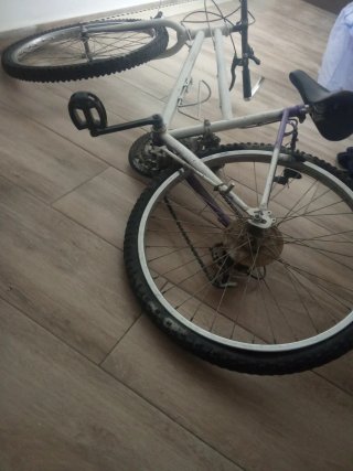 Skate y Bicicleta