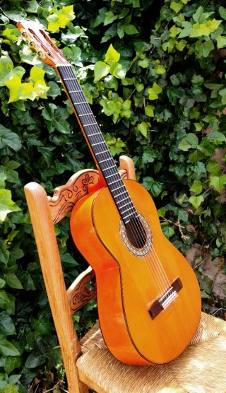 Guitarra Flamenca