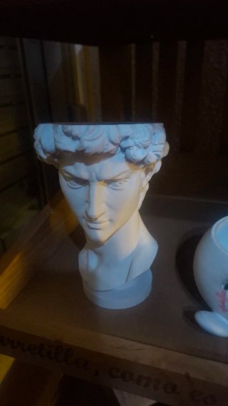 Maceta David Miguel Ángel 3D