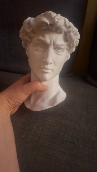 Maceta David Miguel Ángel 3D