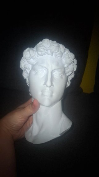 Maceta David Miguel Ángel 3D