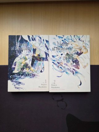 Tomos de manga Yaoi (Sueltos y Colecciones)