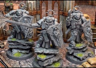 Bits Bladeguard