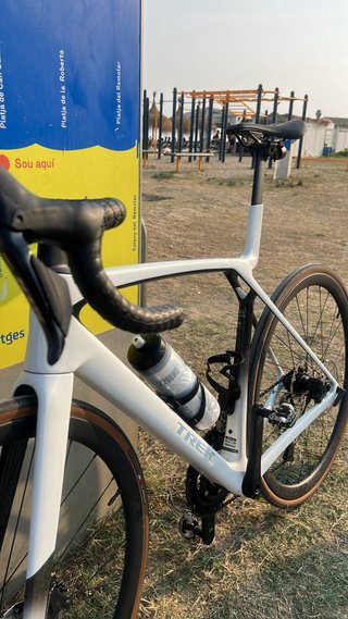 Trek Madone SL6 2025