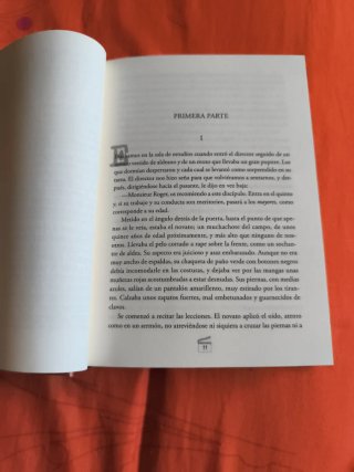 Madame Bovary. Gustave Flaubert.
