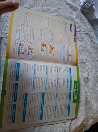 Libro scolastico grammatica raf classe quarta