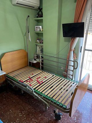 Cama Geriátrica Eléctrica Articulada