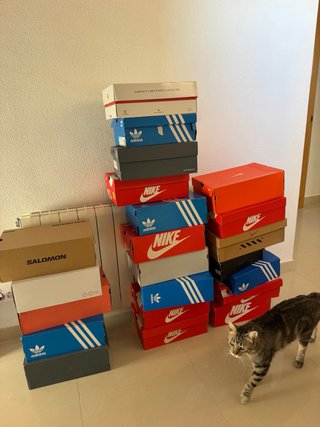 Cajas de Zapatos Nike, Adidas y Salomon