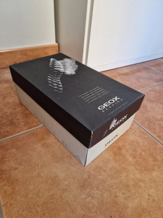 Zapatos Geox