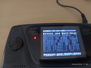 Sega Game Gear Cartucho Flash G
