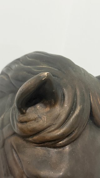 Busto de Cavalo